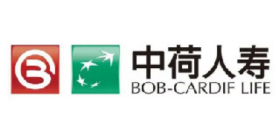 中荷人寿