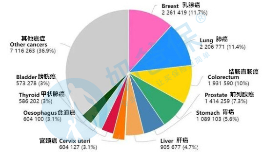 2020年癌症新发病例数量及发病率情况 2020年癌症新发病例数量及发病率情况